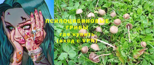 первитин Чердынь
