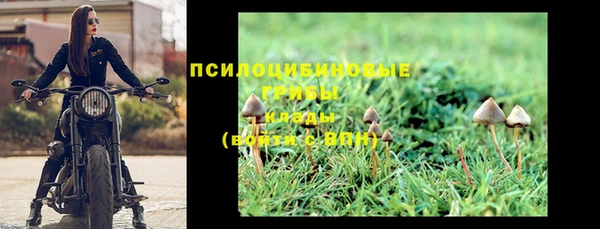 ПСИЛОЦИБИНОВЫЕ ГРИБЫ Балабаново