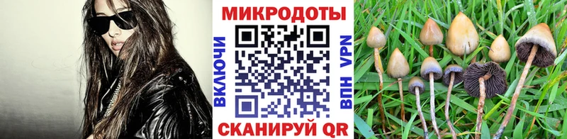 Галлюциногенные грибы Psilocybine cubensis  Подольск 