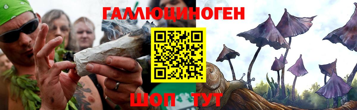 Подольск  Псилоцибиновые грибы мухоморы  Вход с VPN 