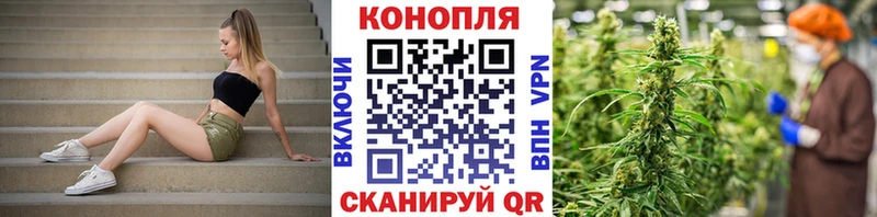 Бошки Шишки сатива как найти Подольск